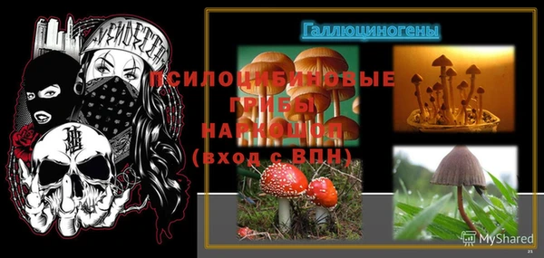 гашик Беломорск