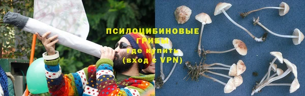 винт Белокуриха